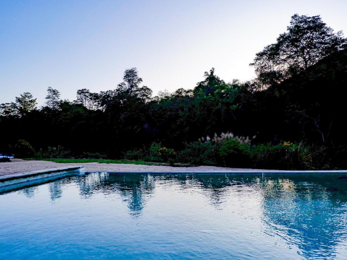 Lions Rock Rapids - Luxury Tented Camp Luxury tent Hazyview