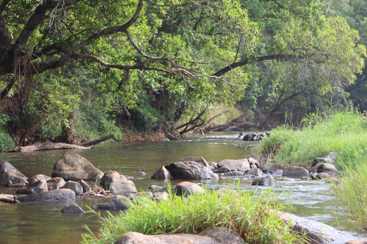 Lions Rock Rapids - Luxury Tented Camp