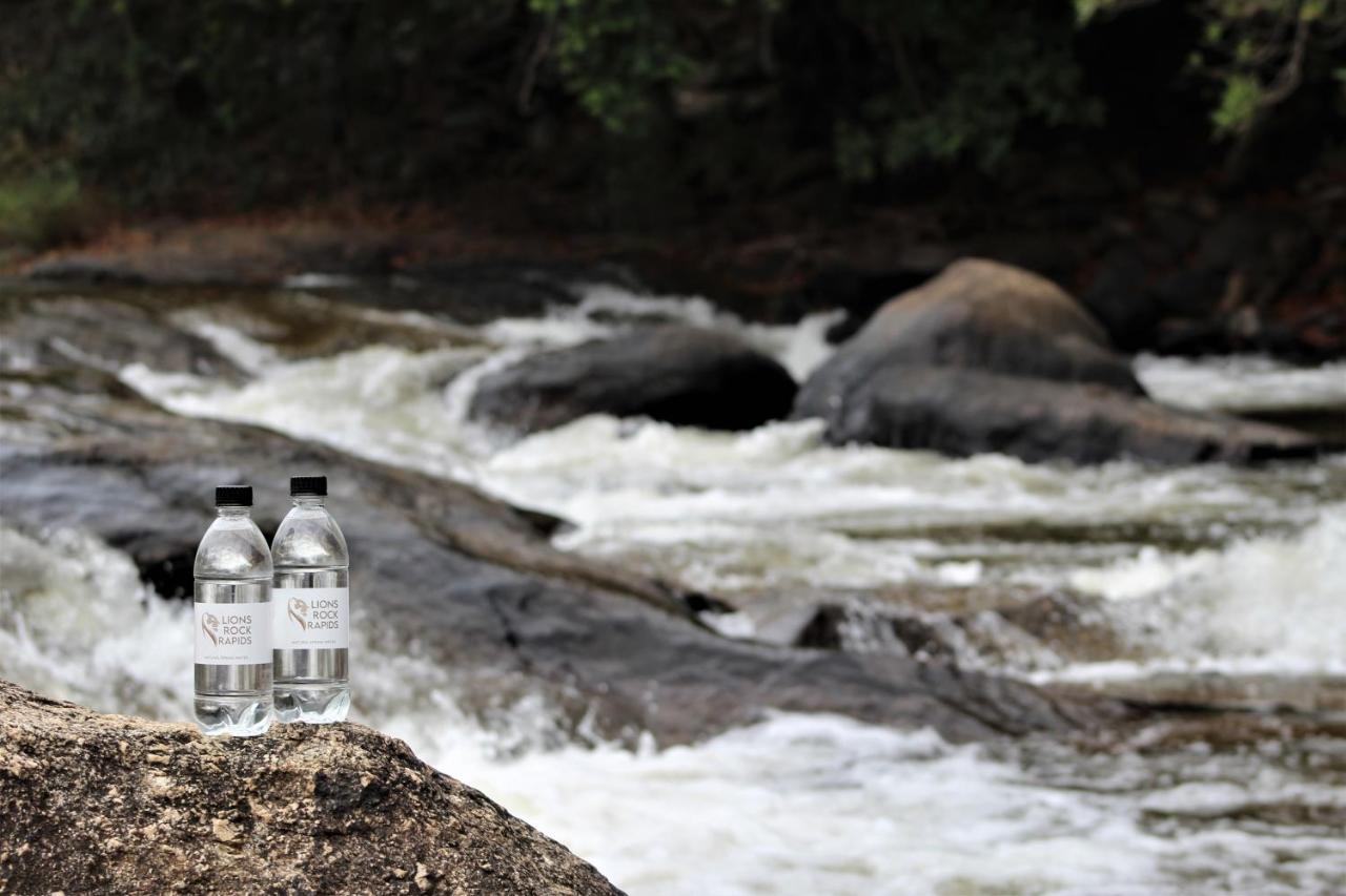 Lions Rock Rapids - Luxury Tented Camp * Hazyview