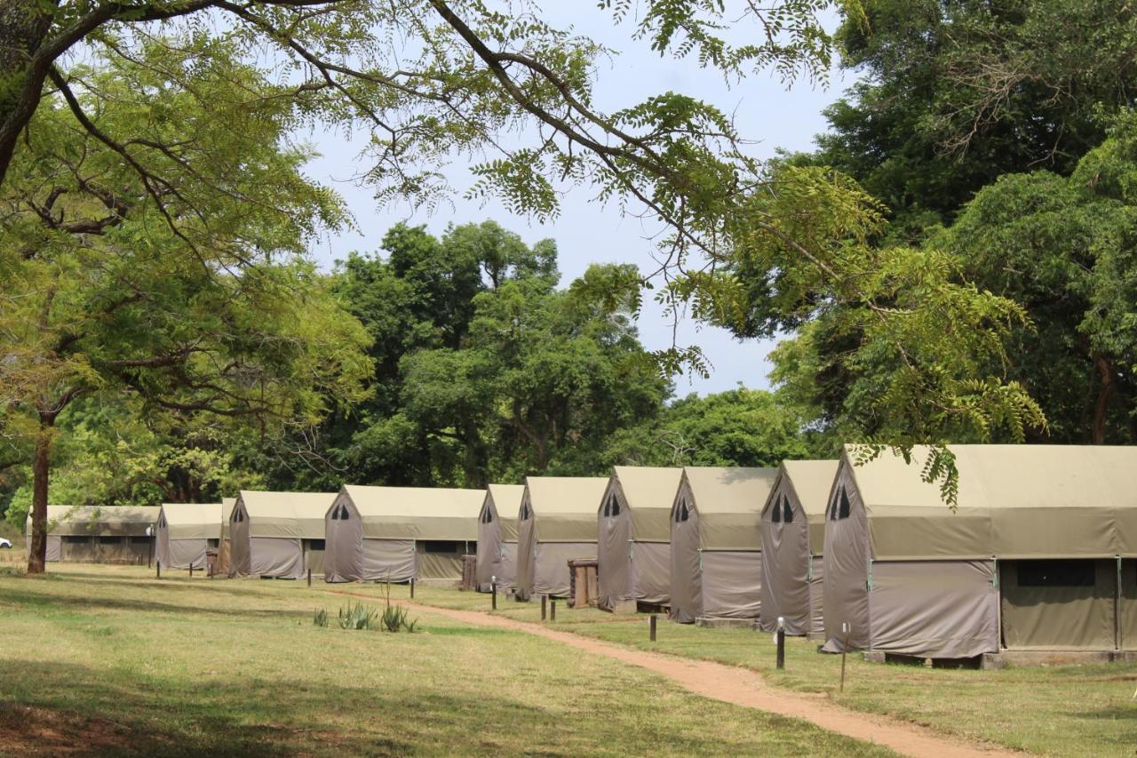 Lions Rock Rapids - Luxury Tented Camp Luxury tent *